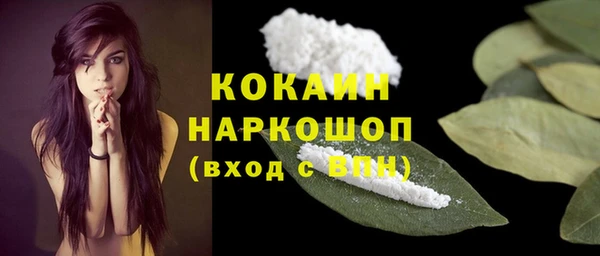 ПСИЛОЦИБИНОВЫЕ ГРИБЫ Верхний Тагил