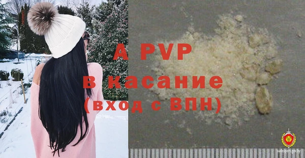ПСИЛОЦИБИНОВЫЕ ГРИБЫ Верхний Тагил