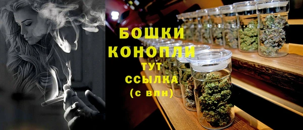 ПСИЛОЦИБИНОВЫЕ ГРИБЫ Верхний Тагил
