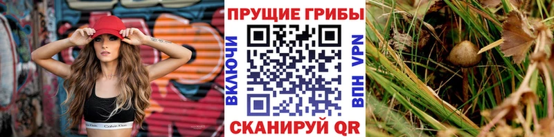 Галлюциногенные грибы прущие грибы Избербаш